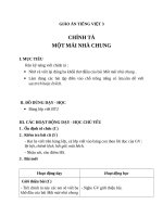 Giáo án Tiếng Việt 3 tuần 30 bài: Chính tả  Nhớ  viết: Một mái nhà chung, phân biệt tr, ch; êt, êch