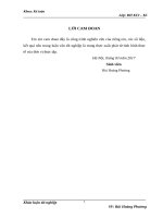 Khóa luận Kế toán nguyên vật liệu tại Công ty cổ phần Công nghệ Năng Lực Việt