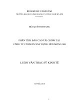 Luận văn thạc sỹ - Phân tích báo cáo tài chính tại Công cổ phần đầu tư xây dựng nền móng 369