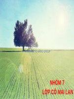 Giải quyết vấn đề dân tộc tôn giáo