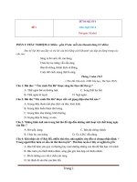 Tổng hợp 24 đề thi ngữ văn lớp 8 học kỳ 2 có đáp án 