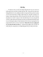 Phân tích về tố cáo và giải quyết tố cáo trong thi hành án dân sự