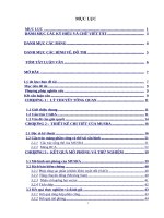 Mô hình cấu trúc thô cho các ứng dụng xử lý đa phương tiện 