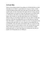 Hoạt động của Viện kiểm sát nhân dân khi kiểm sát các quyết định về thi hành án dân sự