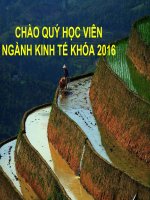 Phương pháp luận nghiên cứu khoa học (Methodology of Scientific Research)