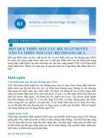 đột quỵ  xuất huyết não