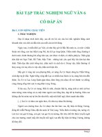 Bài tập trắc nghiệm ngữ văn 6 cả năm có đáp án 