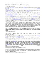 Phap luat ve chu the kinh doanh 1 