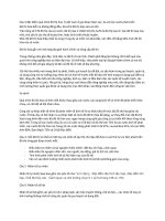 ôn tập quy hoạch đô thị trong xây dựng