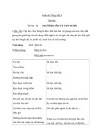 Giáo án Tiếng Việt 3 tuần 32 bài: Tập đọc  Người đi săn và con vượn