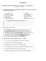 WORKSHEET OF  Reason and Result