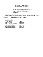 PHÂN TÍCH CHIẾN LƯỢC KINH DOANH CỦA CÔNG TY CỔ PHẦN MAY VIỆT TIẾN