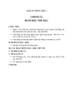 Giáo án Tiếng Việt 3 tuần 29 bài: Chính tả  Nghe  viết: Buổi học thể dục, viết tên người nước ngoài, phân biệt s, x; in, inh