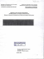 Les jeux dacteurs dans le secteur du logement à HCM ville, particularités de la maîtrise douvrage et influence sur le développement urbain (tt) 