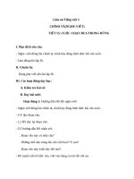 Giáo án Tiếng Việt 3 tuần 28 bài: Chính tả  Nghe  viết: Cuộc chạy đua trong rừng, phân biệt l, n; dấu hỏi, dấu ngã