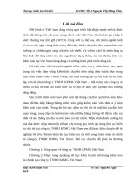 thủ tục kiểm tra chi tiết trong báo cáo tài chính