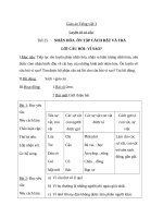 Giáo án Tiếng Việt 3 tuần 25 bài: Luyện từ và câu  Nhân hóa. Ôn tập cách đặt và trả lời câu hỏi Vì sao?