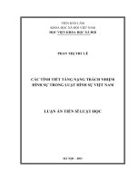 Các tình tiết tăng nặng trách nhiệm hình sự theo luật hình sự việt nam