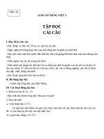 Giáo án Tiếng Việt 3 tuần 22 bài: Tập đọc  Cái cầu