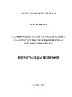 Luận văn thạc sỹ - Giải pháp Marketing cho thực phẩm nhập khẩu của Công ty cổ phần thực phẩm Phú Vinh An trên thị trường Miền Bắc