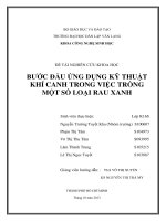 GIẢI PHÁP NÂNG CAO LỢI THẾ CẠNH TRANH VÀ PHÁT TRIỂN NGÀNH ĐỒ GỖ XUẤT KHẨU TẠI TỈNH BÌNH DƯƠNG SAU KHI VIỆT NAM GIA NHẬP WTO