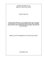 Sử dụng phần mềm K0-IAEA trong hiệu chuẩn đường cong hiệu suất và tính toán hiệu suất thực nghiệm bằng phương pháp bình phương tối thiểu cho đầu do bán dẫn HPGe