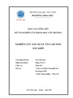 NGHIÊN CỨU CHẾ TẠO HẠT NANO OXIT SẮT TỪ VỚI LỚP PHỦ TƯƠNG THÍCH SINH HỌC GẮN PROTEIN ĐỂ ỨNG DỤNG TRONG CHẨN ĐOÁN Y SINH