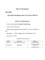 Báo cáo lập trình mô phỏng cánh tay robot 3 bậc tự do với matlab (GUI+CODE)