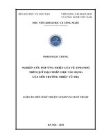 Nghiên cứu đáp ứng nhiệt của vệ tinh nhỏ trên quỹ đạo thấp chịu tác dụng của môi trường nhiệt vũ trụ 