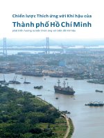 Chiến lược Thích ứng với Khí hậu của Thành phố Hồ Chí Minh phát triển hướng ra biển thích ứng với biến đổi khí hậu