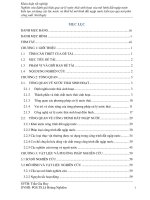 nghiên cứu đánh giá hiệu quả xử lý nước thải sinh hoạt của mô hình đất ngập nước kiến tạo sử dụng cây lác nước và thiết kế mô hình đất ngập nước kiến tạo quy mô pilot công suất 3m3 ngày 