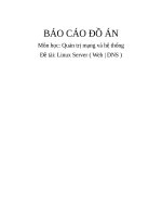 Báo cáo đồ án Linux Server  DNS Server  Web Server