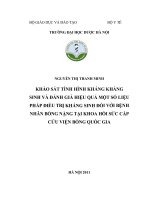 Khảo sát tình hình kháng kháng sinh và đánh giá hiệu quả một số liệu pháp điều trị kháng sinh đối với bệnh nhân bỏng nặng tại khoa hồi sức cấp cứu viện bỏng quốc gia 