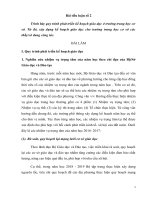 Bài tiểu luận chuẩn chức danh nghề nghiệp GV THCS