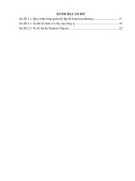 hoàn thiện kế hoạch tiếp thị dự án bất động sản summer square tại công ty cổ phần đầu tư việt tin 