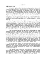 xử lý hồ sơ trong công tác bồi thường hỗ trợ khi nhà nước thu hồi đất để thực hiện dự án khu dân cư việt hân 3 trên địa bàn thị trấn long hải huyện long điền tỉnh bà rịa vũng tàu 