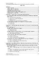 Xây dựng phương pháp đánh giá rủi ro có tính liên vùng khu vực thành phố hồ chí minh 