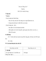 Giáo án Tiếng Việt 3 tuần 19 bài: Tập đọc  Hai Bà Trưng