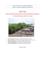 BÁO CÁO TỔNG HỢP MỘT SỐ HOẠT ĐỘNG ỨNG PHÓ VỚI BIẾN ĐỔI KHÍ HẬU Ở VÙNG ĐỒNG BẰNG SÔNG CỬU LONG