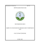 Nghiên cứu lên men sinh tổng hợp kháng sinh từ streptomyces 155 29 