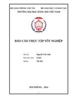 ứng dụng phần mềm shipconstructor 2008 (mô phỏng kết cấu và phân chia tôn cho phân đoạn 101, 102, … cho tàu hàng 3200t) 