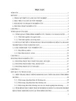 đánh giá tình hình thực hiện trách nhiệm xã hội của doanh nghiệp khai thác khoáng sản tỉnh bình dương 