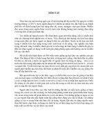 đánh giá nguy cơ ảnh hưởng đến sức khỏe người sử dụng nước ngầm nhiễm chì, arsen 