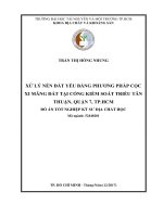 xử  lý nền đất yếu bằng phương pháp cọc xi măng đất tại cống kiểm soát triều tân thuận, quận 7, thành phố hồ chí minh 