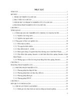 áp dụng bộ chỉ số để đánh giá tính bền vững trong hoạt động khai thác ilmenite ở tỉnh bình thuận 
