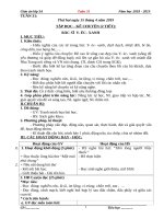 Tuần 31 giáo án lớp 3 soạn theo ĐHPTNLHS năm học 2018   2019 