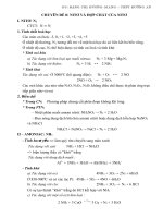 Lý thuyết và Bài tập về Nitơ và hợp chất của nitơ có đáp án  Hóa học 10.