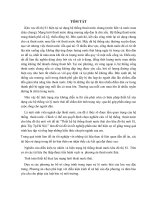 thiết kế hệ thống thoát nước thải cho khu đô thị mới s1, phía tây, TP hà nội 