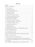 Hiện trạng môi trường thành phố Hạ Long, tỉnh Quảng Ninh năm 2017