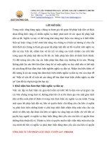 Tài sản dùng để đảm bảo thực hiện nhiều nghĩa vụ dân sự